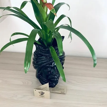Apartment Stadia *